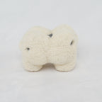 Tooth Family