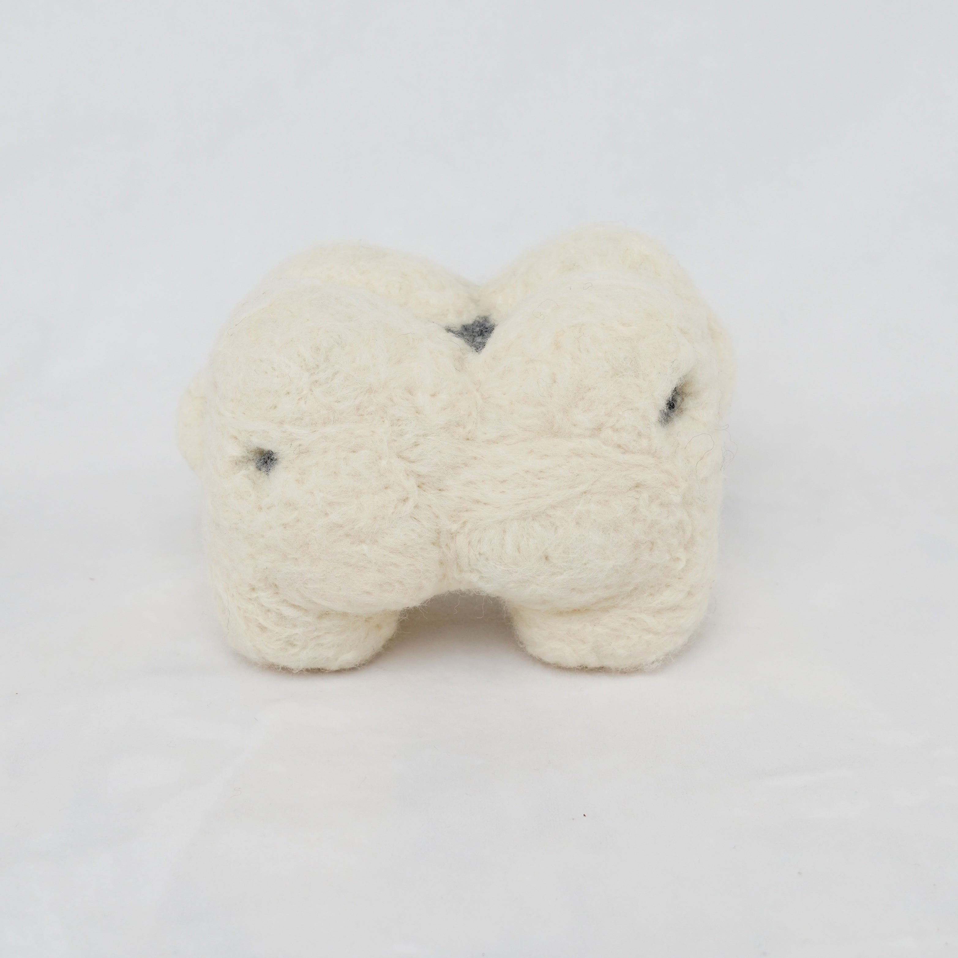 Tooth Family