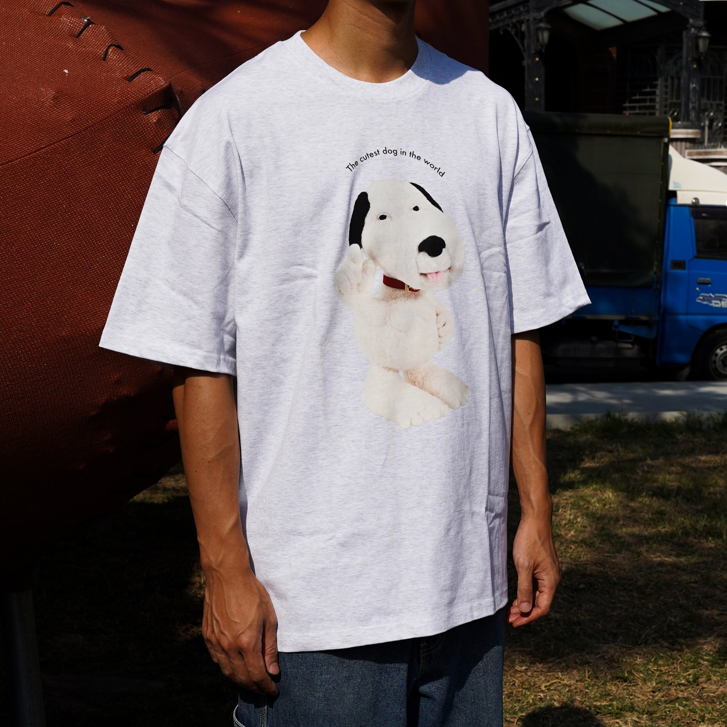Snoop Tee (Grey)