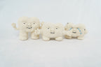 Tooth Family